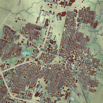 Close-up of the map of Temple, Texas print showing street and building detail