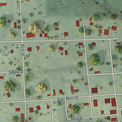 Close-up of the map of Salem, Nebraska print showing street and building detail