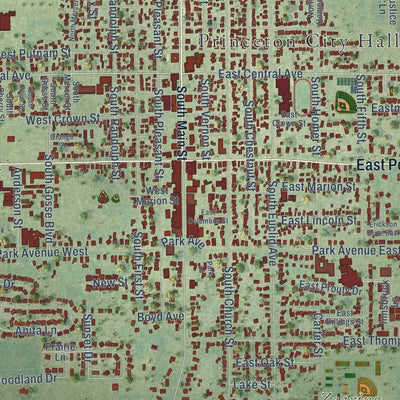 Close-up of the map of Princeton, Illinois print showing street and building detail