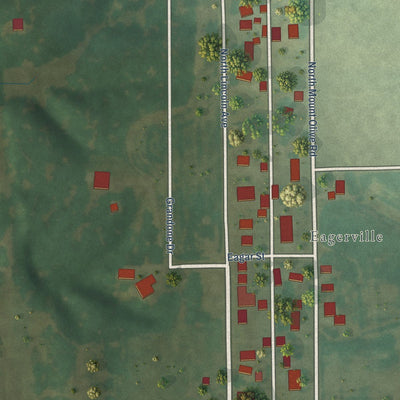 Close-up of the map of Eagarville, Illinois print showing street and building detail