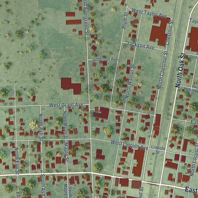 Close-up of the map of Onarga, Illinois print showing street and building detail