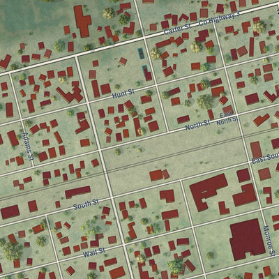 Close-up of the map of Cerro Gordo, Illinois print showing street and building detail