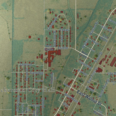 Close-up of the map of Tuckerman, Arkansas print showing street and building detail