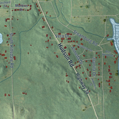 Close-up of the map of Hillsdale, Hillsdale County, Michigan print showing street and building detail