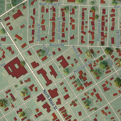Close-up of the map of Lakin, Kansas print showing street and building detail