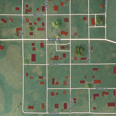 Close-up of the map of Novelty, Missouri print showing street and building detail