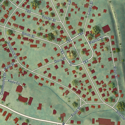 Close-up of the map of Pelzer, South Carolina print showing street and building detail