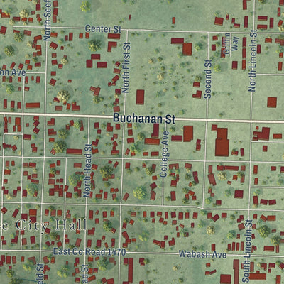 Close-up of the map of Carthage, Illinois print showing street and building detail