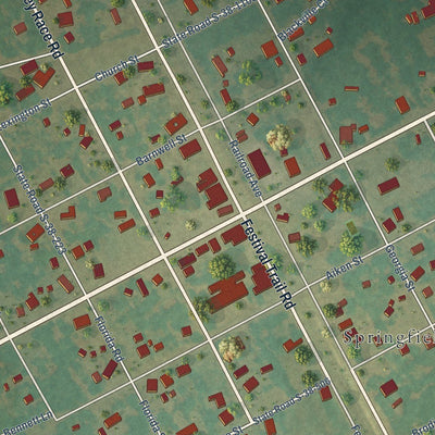 Close-up of the map of Springfield, South Carolina print showing street and building detail