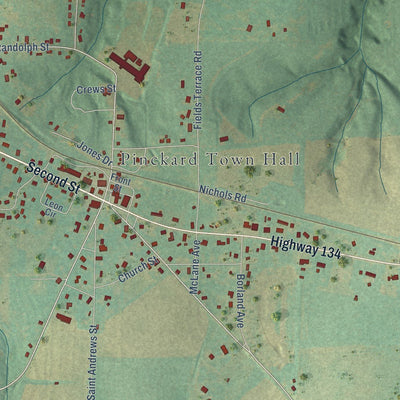 Close-up of the map of Pinckard, Alabama print showing street and building detail