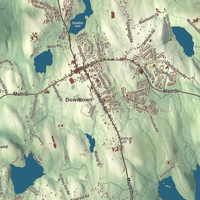 Close-up of the map of Rutland, Massachusetts print showing streets and neighborhoods