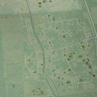 Close-up of the map of Bonney, Texas print showing street and building detail