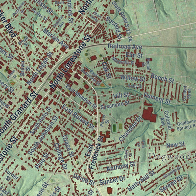 Close-up of the map of Gaffney, South Carolina print showing street and building detail
