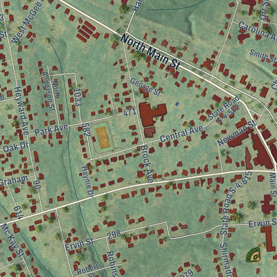 Close-up of the map of Honea Path, South Carolina print showing street and building detail