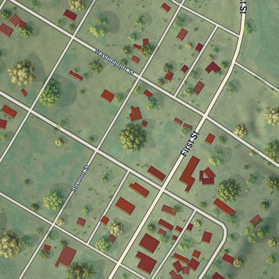 Close-up of the map of Nemaha, Nebraska print showing street and building detail