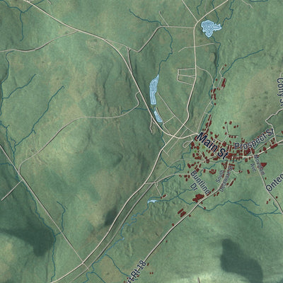 Close-up of the map of Stamford, New York print showing street and building detail
