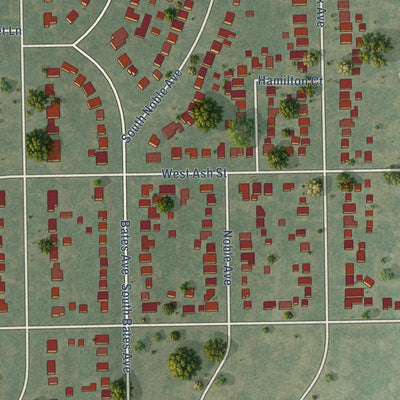 Close-up of the map of Leland Grove, Illinois print showing street and building detail