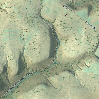 Close-up of the map of Genesee, Pennsylvania print showing street and building detail