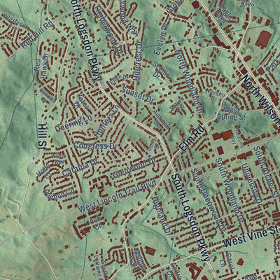 Close-up of the map of Radcliff, Kentucky print showing street and building detail