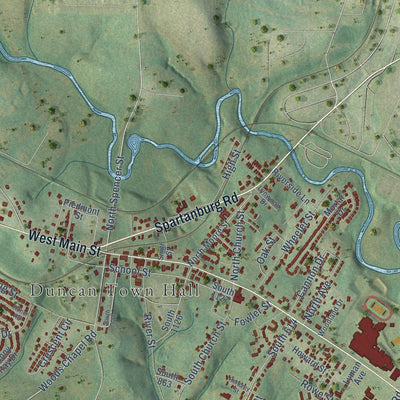 Close-up of the map of Duncan, South Carolina print showing street and building detail