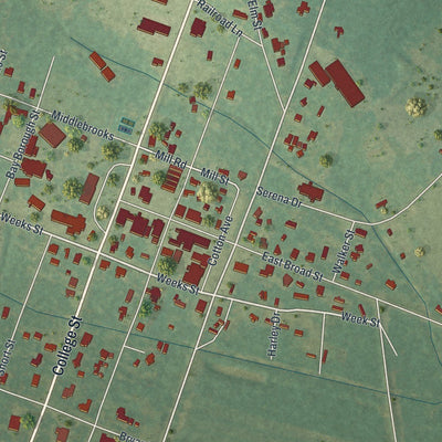 Close-up of the map of Norman Park, Georgia print showing street and building detail