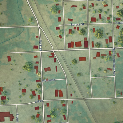 Close-up of the map of Bloomburg, Texas print showing street and building detail