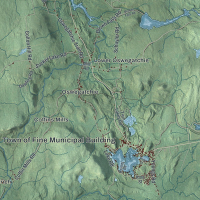 Close-up of the map of Fine, New York print showing street and building detail