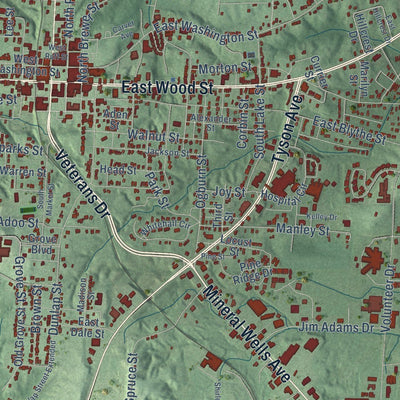 Close-up of the map of Paris, Tennessee print showing street and building detail