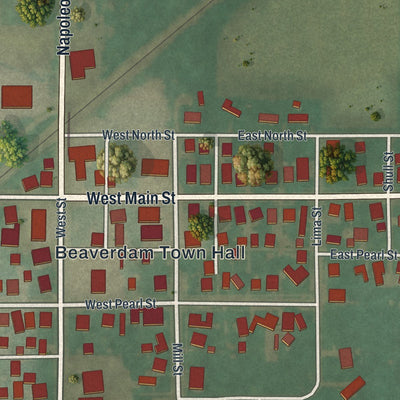 Close-up of the map of Beaverdam, Ohio print showing street and building detail