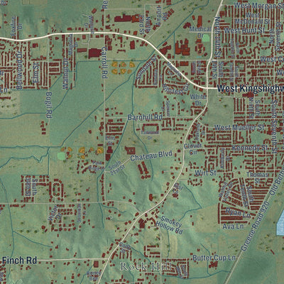 Close-up of the map of Paragould, Arkansas print showing street and building detail