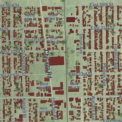 Close-up of the map of Steger, Illinois print showing street and building detail