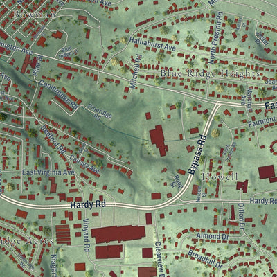 Close-up of the map of Vinton, Virginia print showing street and building detail