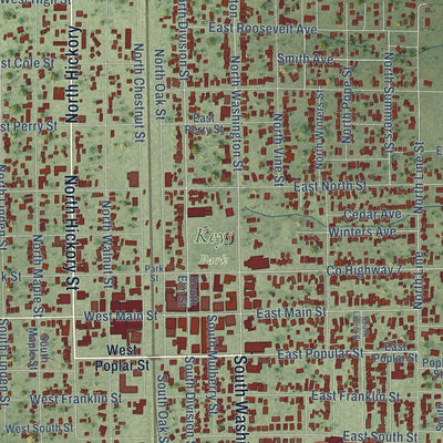 Close-up of the map of Du Quoin, Illinois print showing street and building detail