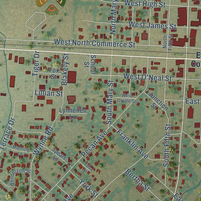 Close-up of the map of Wills Point, Texas print showing street and building detail