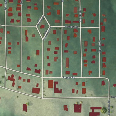 Close-up of the map of Pine Lake, Georgia print showing street and building detail