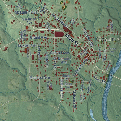 Close-up of the map of Leakesville, Mississippi print showing street and building detail