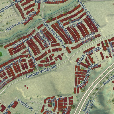 Close-up of the map of Pacific Highlands Ranch, California print showing street and building detail