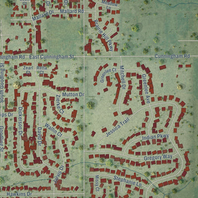 Close-up of the map of Winnebago, Illinois print showing street and building detail