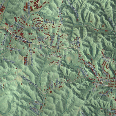 Close-up of the map of Helena-West Helena, Arkansas print showing street and building detail