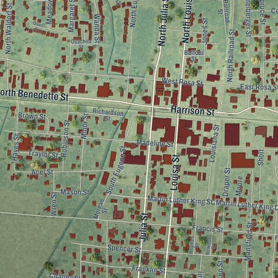 Close-up of the map of Rayville, Louisiana print showing street and building detail