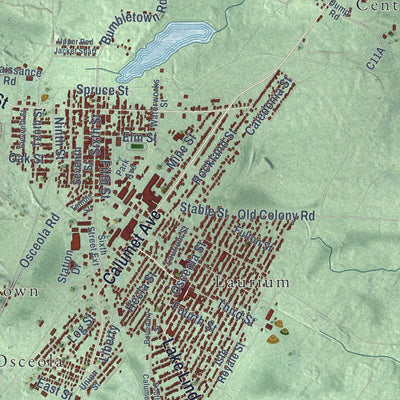 Close-up of the map of Calumet, Houghton County, Michigan print showing street and building detail