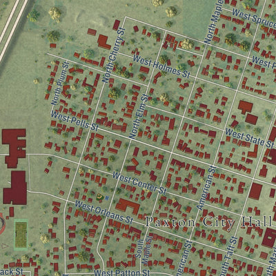 Close-up of the map of Paxton, Illinois print showing street and building detail