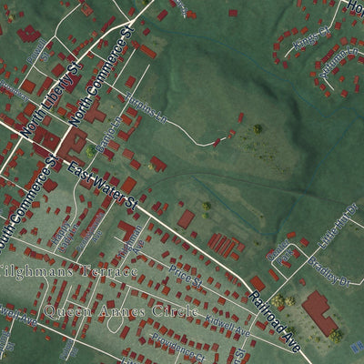 Close-up of the map of Centreville, Maryland print showing street and building detail