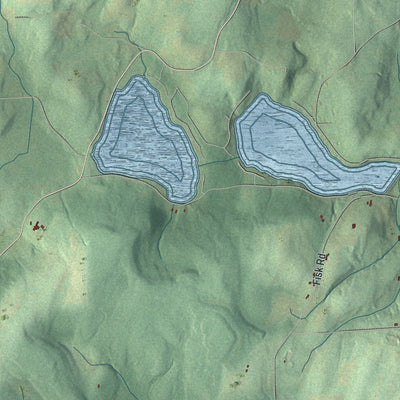 Close-up of the map of Lebanon, New York print showing street and building detail