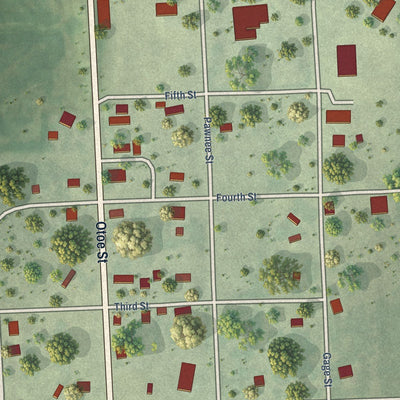 Close-up of the map of Burchard, Nebraska print showing street and building detail