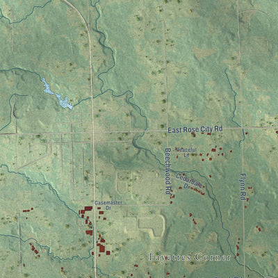 Close-up of the map of Cumming, Michigan print showing street and building detail