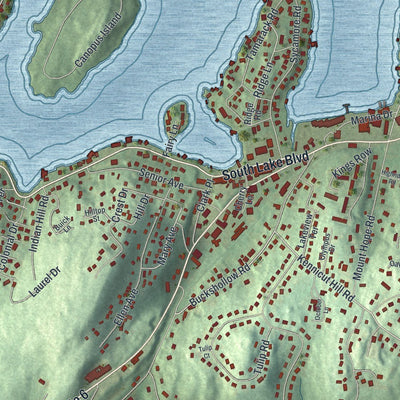 Close-up of the map of Mahopac, New York print showing street and building detail
