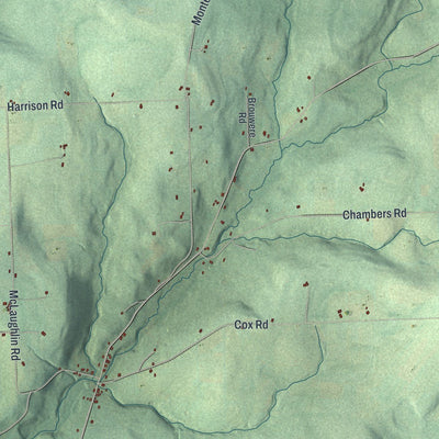 Close-up of the map of Hornby, New York print showing street and building detail