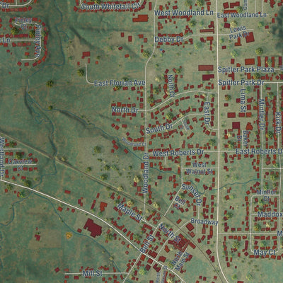 Close-up of the map of Mount Zion, Illinois print showing street and building detail