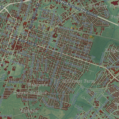 Close-up of the map of Goldsboro, North Carolina print showing street and building detail